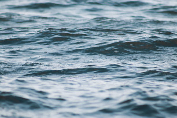 istock Beautiful   blue sea water surface with low waves. Seascape background. 1217224055