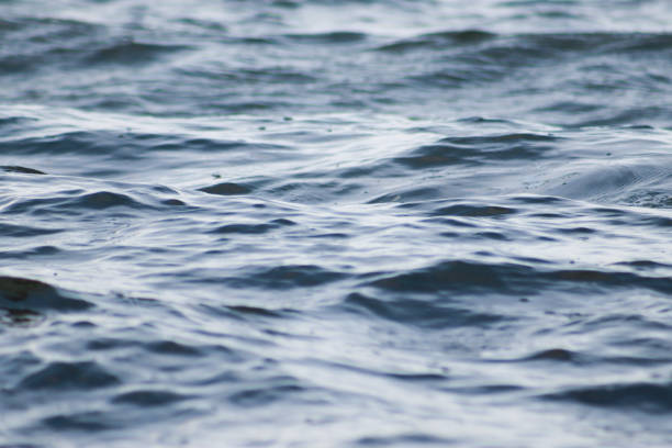 istock Beautiful   blue sea water surface with low waves. Seascape background. 1217224107
