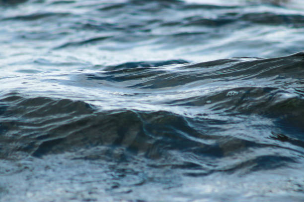 istock Beautiful   blue sea water surface with low waves. Seascape background. 1217224201