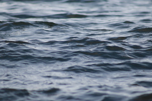 istock Beautiful   blue sea water surface with low waves. Seascape background. 1217224251