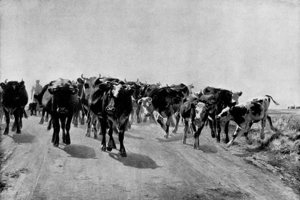 Road of Vaudancourt by Aymar (Aimard Alexandre) Pezant (circa 19th century). Vintage etching circa late 19th century.