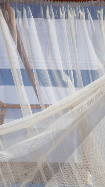 istock White transparent tulle backdrop with smooth wavy folds. Organza textile curtains through blue sky background. Fragility and lightness concept. 1217227836