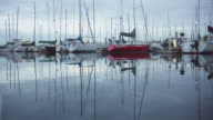 istock Tilting Up Shot of Sailboats in Harbor in Puget Sound near Seattle, Washington on an Overcast Day 1217230659