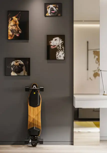 Photo of Child's room with dog paintings and a skateboard
