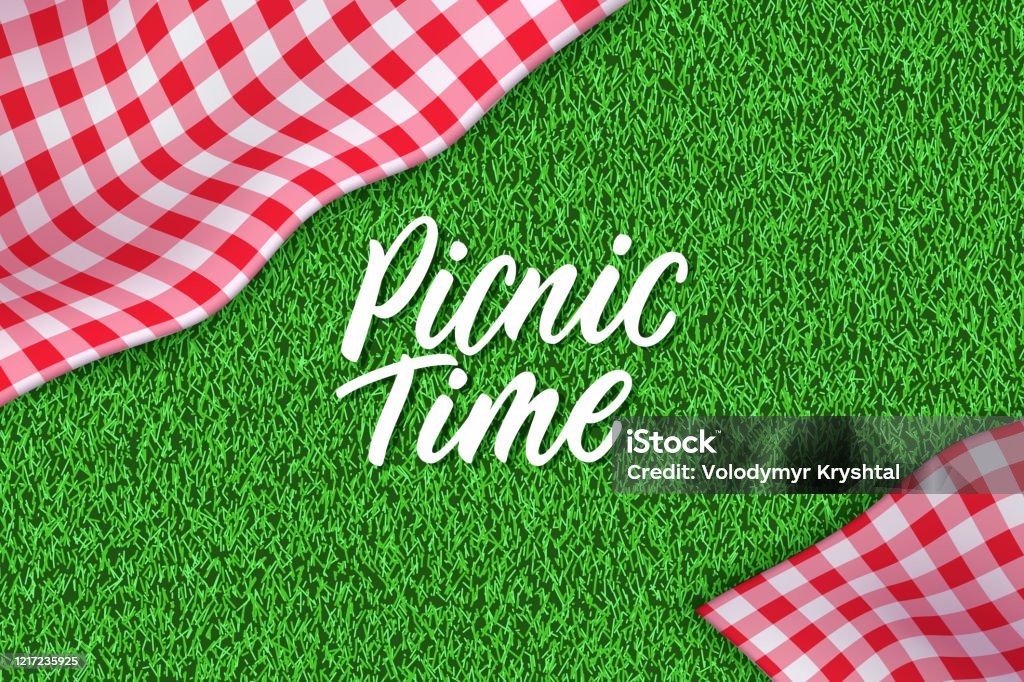 Picknick horizontalen Hintergrund. Vektor-Plakat oder Banner-Vorlage mit realistischen roten Gingham kariert auf grünem Rasen - Lizenzfrei Picknick Vektorgrafik