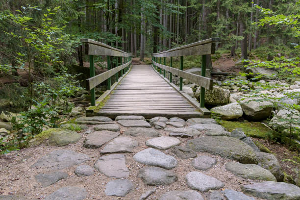 istock Bridge over the Mumlava river in Czech Giant Mountains 1217236530