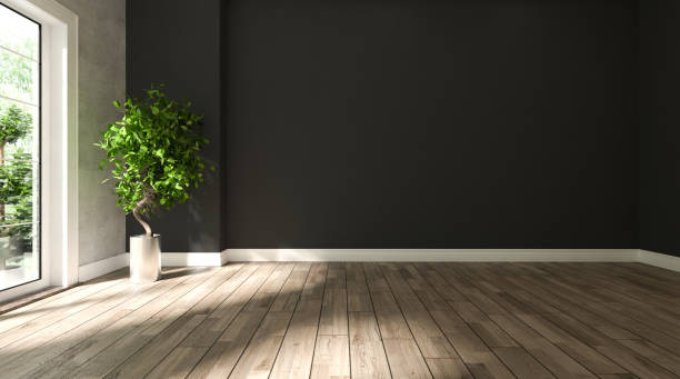 istock black and concrete wall empty room with wooden floor and plant 3D rendering 1217237456