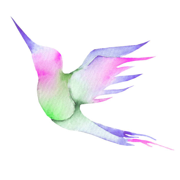 istock Hummingbird, watercolor painting pink blue purple green 1217238520
