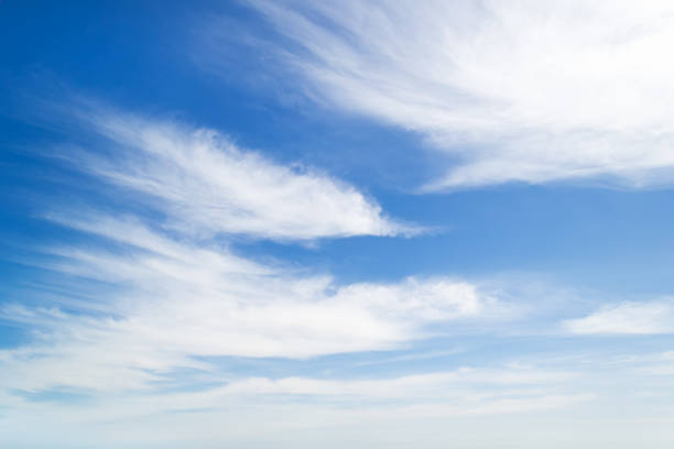 晴れた春の日には青空に高い白いふわふわの層雲。天気と異なる雲の種類。風光明媚な雲並み。 - cirrus cloud cloudscape stratus ストックフォトと画像