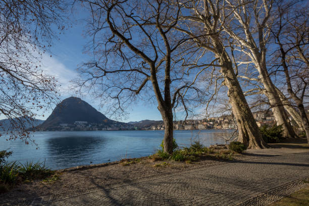 The lake of Lugano with misty sky, trees and mountains at the distance stock photo