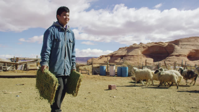 Slow Motion Shot of a Native American Teenaged Boy Placing Some Hay into a Metal Hay Feeder for His Sheep in a Fenced In Pasture in Monument Valley, Utah/Arizona with a Large Rock Formation in the Background