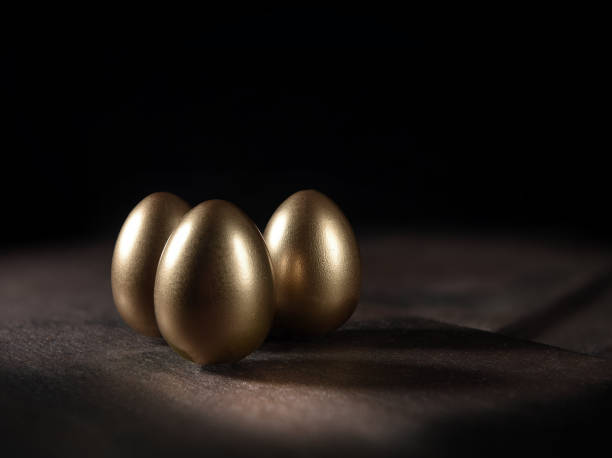 Golden Investments Creative lighting classic gold birds eggs representing a pension plan or nest egg investment shot against a dark background with copy space on black slate sheets. best gold ira stock pictures, royalty-free photos & images