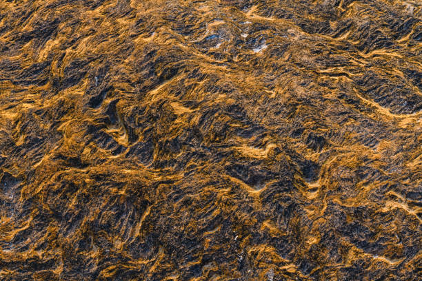 istock Beautiful stone wavy shape macro close up 1217245044