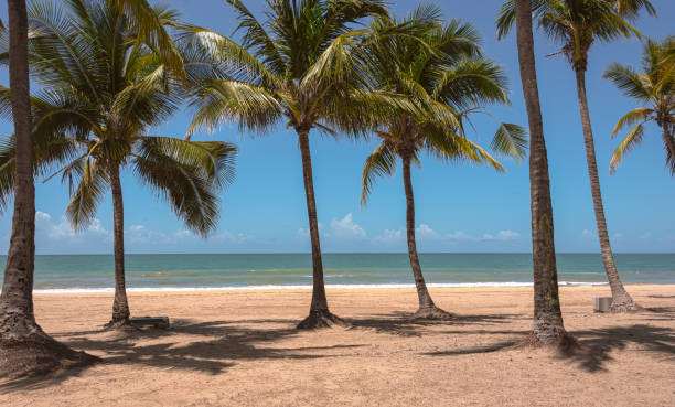 istock Boa Viagem beach without people 1217245574