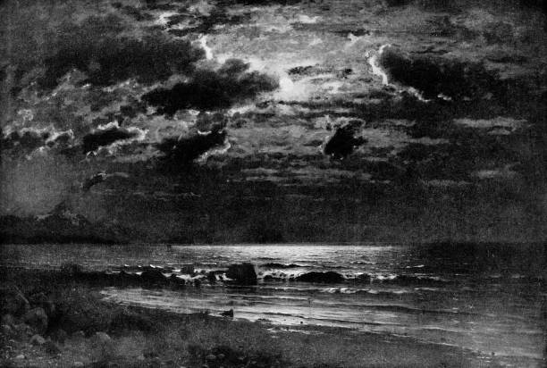 illustrations, cliparts, dessins animés et icônes de moonlight on the coast of norway par eilert adelsteen normann - 19ème siècle - antique engraved image moonlight night