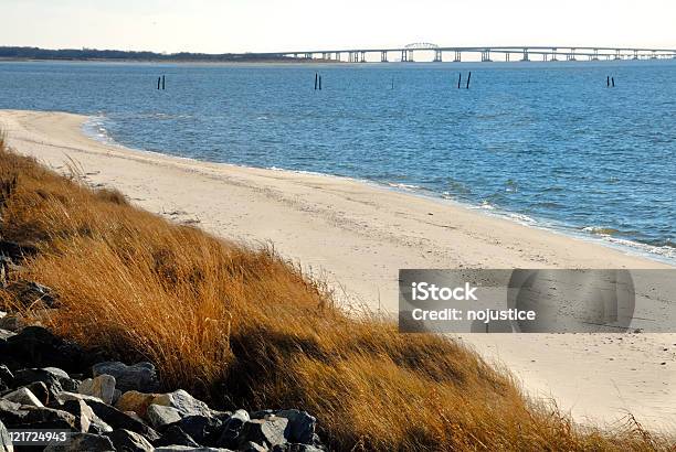 Eastern Shore - zdjęcia stockowe i więcej obrazów Zatoka Chesapeake - Zatoka Chesapeake, Wirginia - stan USA, Trawa