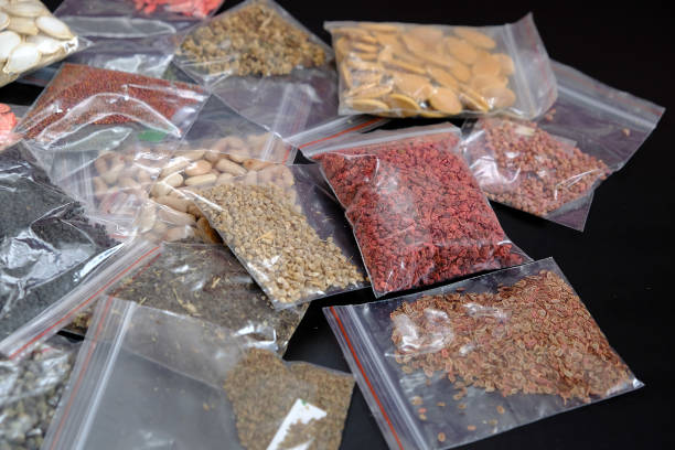 istock organic seeds packed in a wide variety on black ground, 1217251894