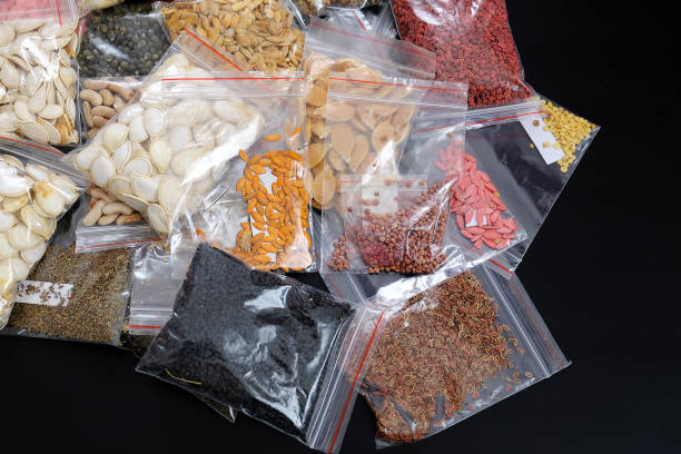 istock creating a seed bank, packing and storing organic seeds, 1217251905