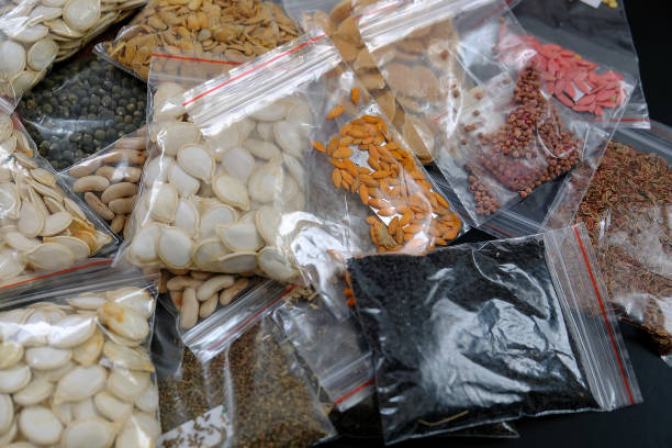 istock creating a seed bank, packing and storing organic seeds, 1217251909