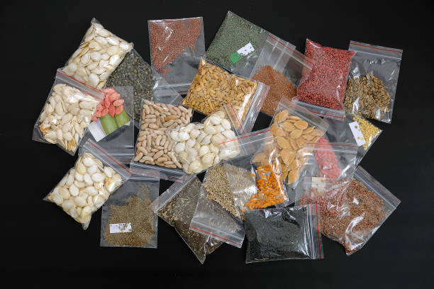 istock creating a seed bank, packing and storing organic seeds, 1217251955
