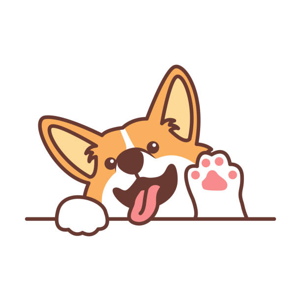 ilustrações de stock, clip art, desenhos animados e ícones de cute welsh corgi dog waving paw cartoon, vector illustration - pembroke welsh corgi