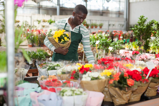 istock Salesman checking flowering begonias 1217253133