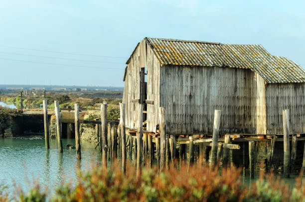 istock Abandoned wooden shed on river bank 1217253358