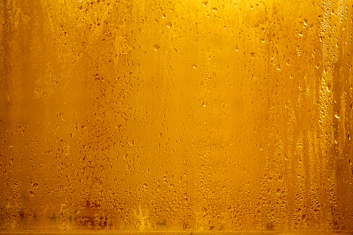 The bartender poured fresh , cold beer into a clear glass. Condensation formed on the glass in the form of many drops of water from the temperature difference.