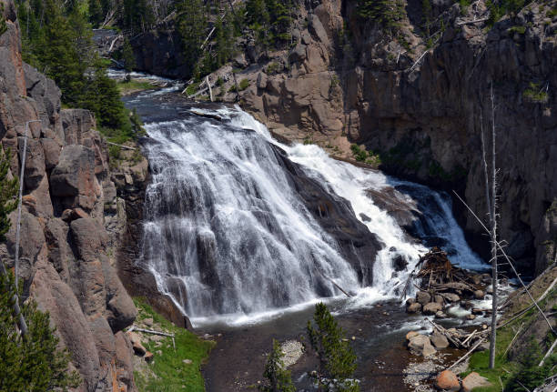 Lovely Gibbon Falls on the Gibbon River, Yellowstone National Park, Wyoming, USA.