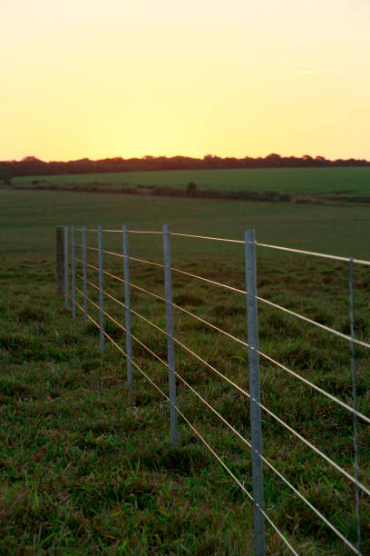istock new fence on cattle pasture farm 1217256761