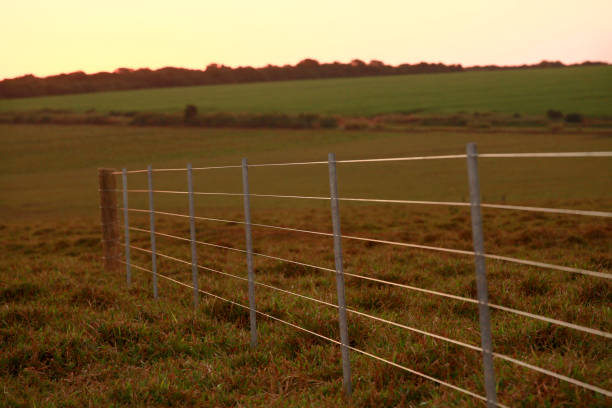 istock new fence on cattle pasture farm 1217256764