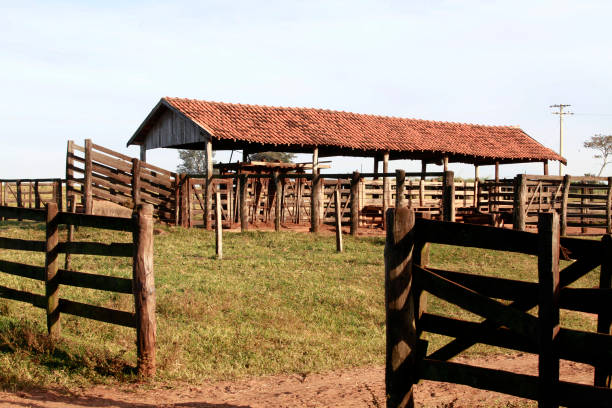 old corral on farm view of old corral on farm on countyside of Brazil corral stock pictures, royalty-free photos & images