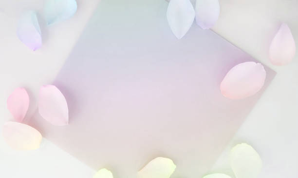 istock petals rainbow colors floral leaves background 1217256821