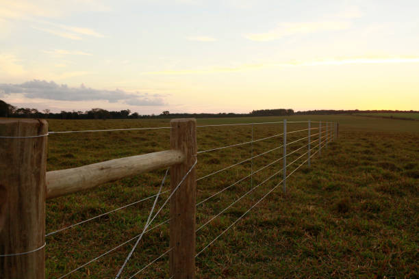 istock new fence on cattle pasture farm 1217256862