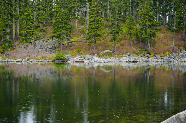 istock Trees reflecting in a mountain lake with rain drops 1217261158