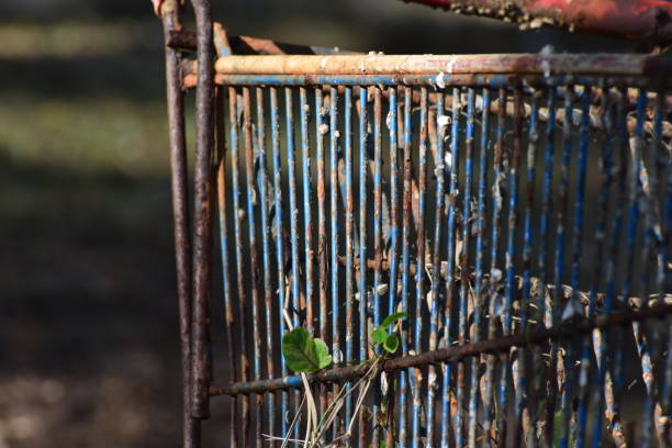 Old steel trolley 2 wheels
