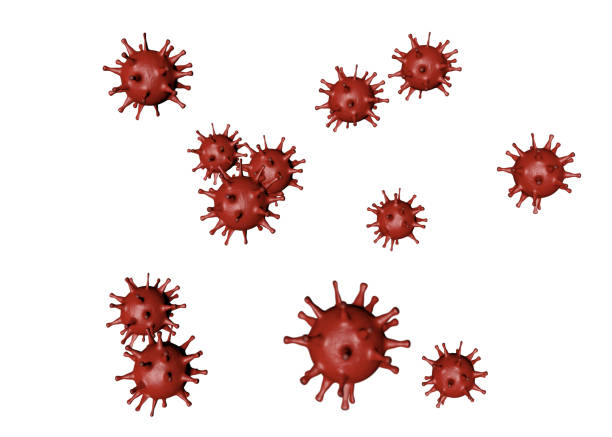 istock Coronavirus 2019-ncov isolated on white. 1217268458