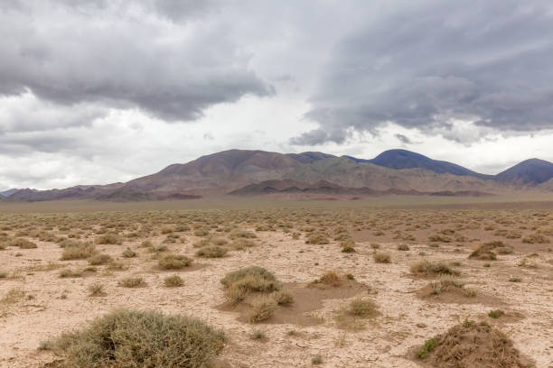 istock Altai Tavan Bogd National Park in Bayar-Ulgii, Mongolia. 1217269204