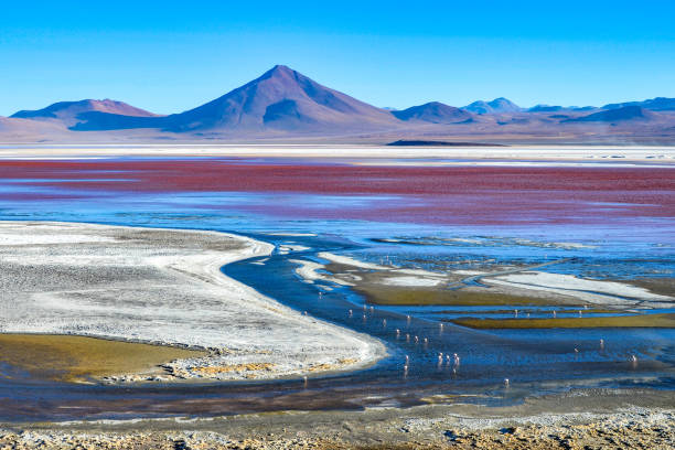 istock Laguna Colorada de Uyuni, Eduardo Avaroa Reserve, Bolivia 1217270902