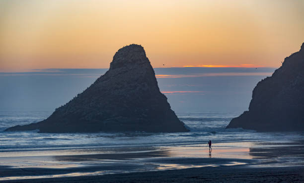 istock Photographer at Dusk on the Pacific 1217272466
