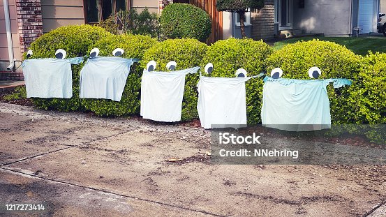 istock Bushes in front yard with face masks encouraging people to wear masks for COVID-19 1217273414