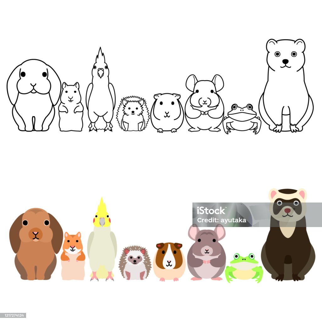 Ilustración de Lindo Animal De Animales De La Mascota De Dibujos Animados  Borde Establecido Cuerpo Completo y más Vectores Libres de Derechos de  Hámster - iStock