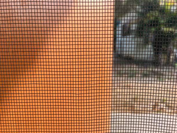 istock The net of the door screen 1217274934