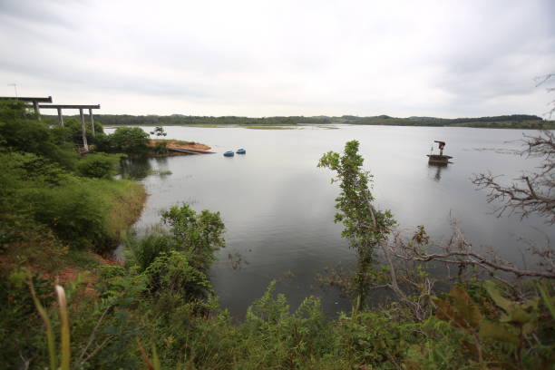 istock dam of the joanes river 1217279506