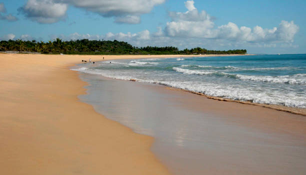 istock natives beach in trancoso 1217280166