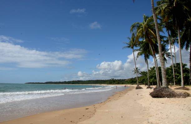 istock trancoso beach in safe harbor 1217280192