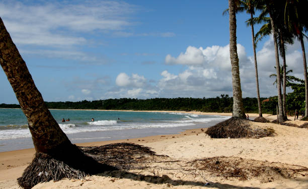 istock trancoso beach in safe harbor 1217280195