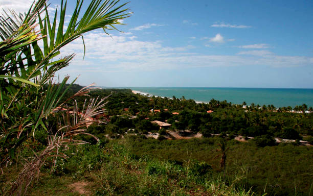 istock natives beach in trancoso 1217280229