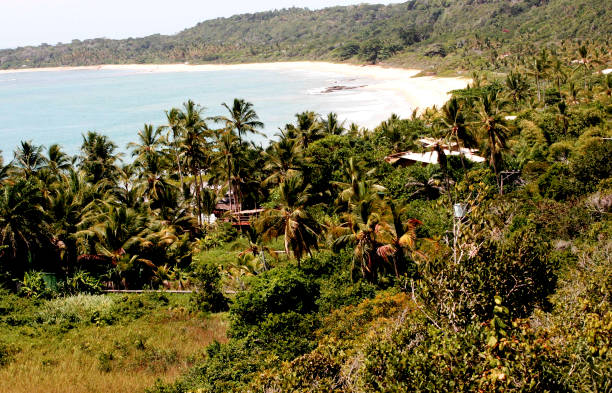 istock natives beach in trancoso 1217280230