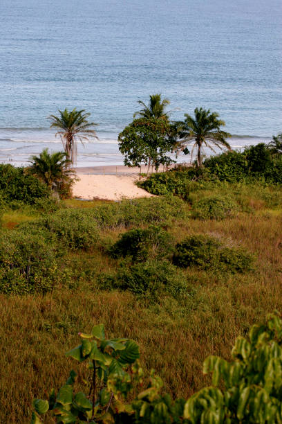 istock natives beach in trancoso 1217280250